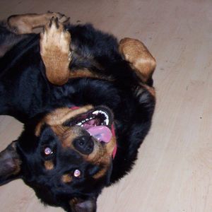 Meet your Posher, Lisa